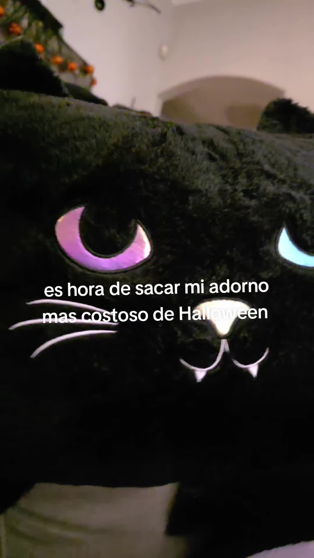 @CLAUDT777🌟♌️🦁🥂❤️