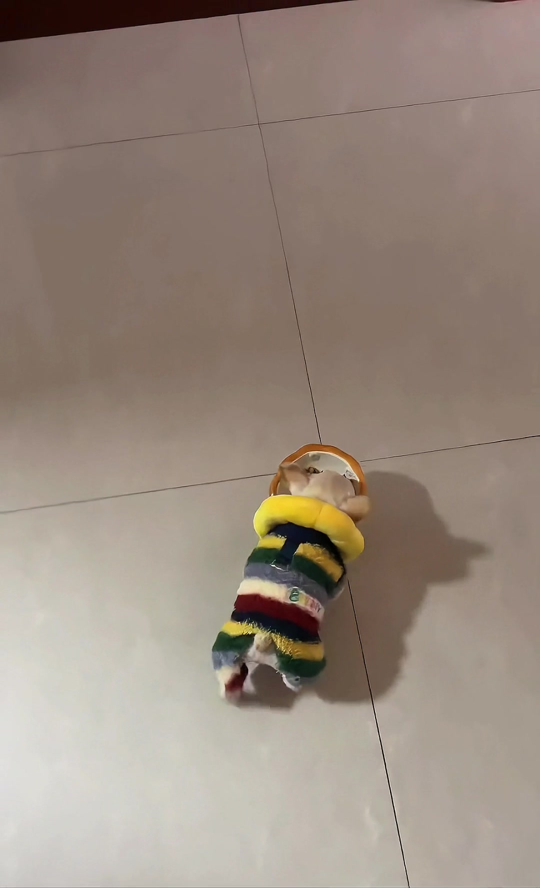@𝐅𝐫𝐞𝐧𝐜𝐡𝐢𝐞𝐬.𝐛𝐚𝐛𝐲