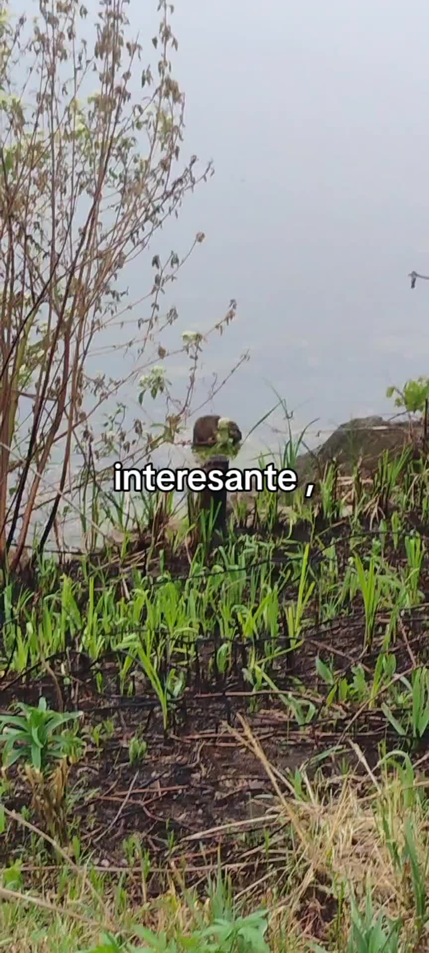 @martita