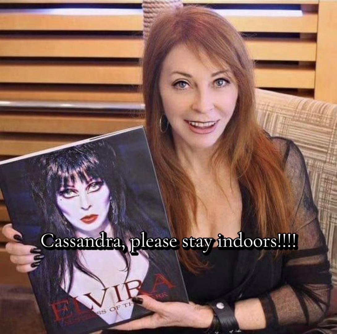 @x_ Gemini_x