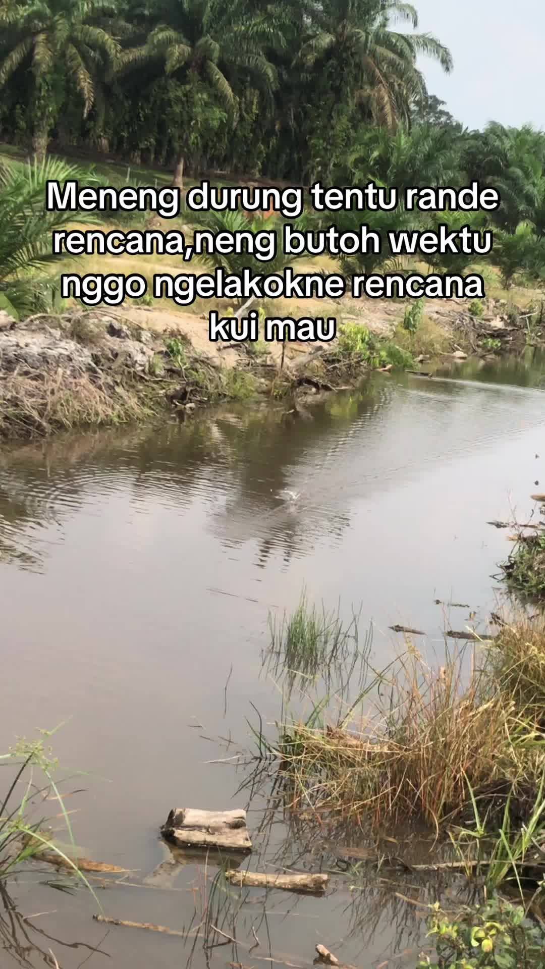 @rtk_lure