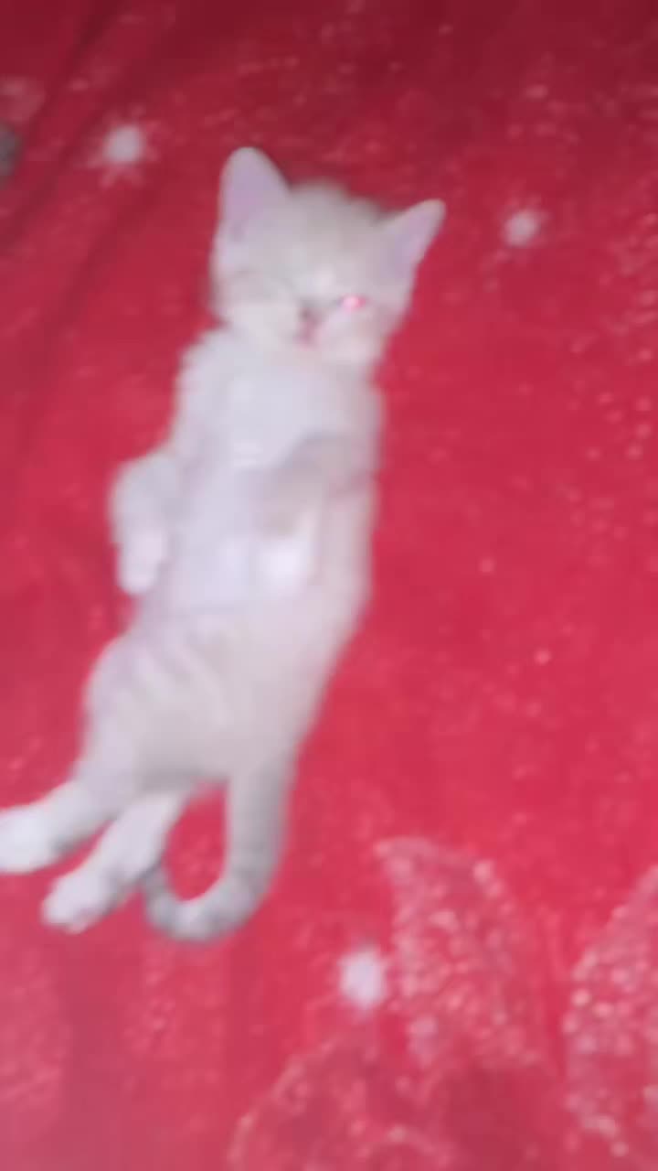 @Татьяна Анатольевна 🤗🥰😊