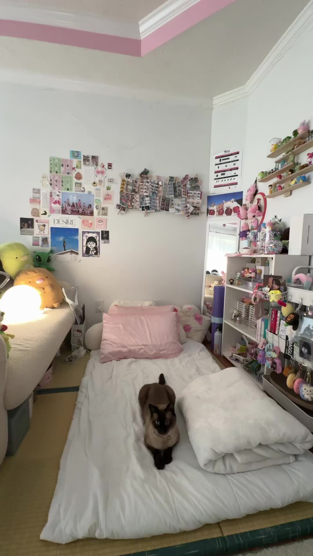 @lindy ☆彡(๑˃̵ᴗ˂̵) 彡☆