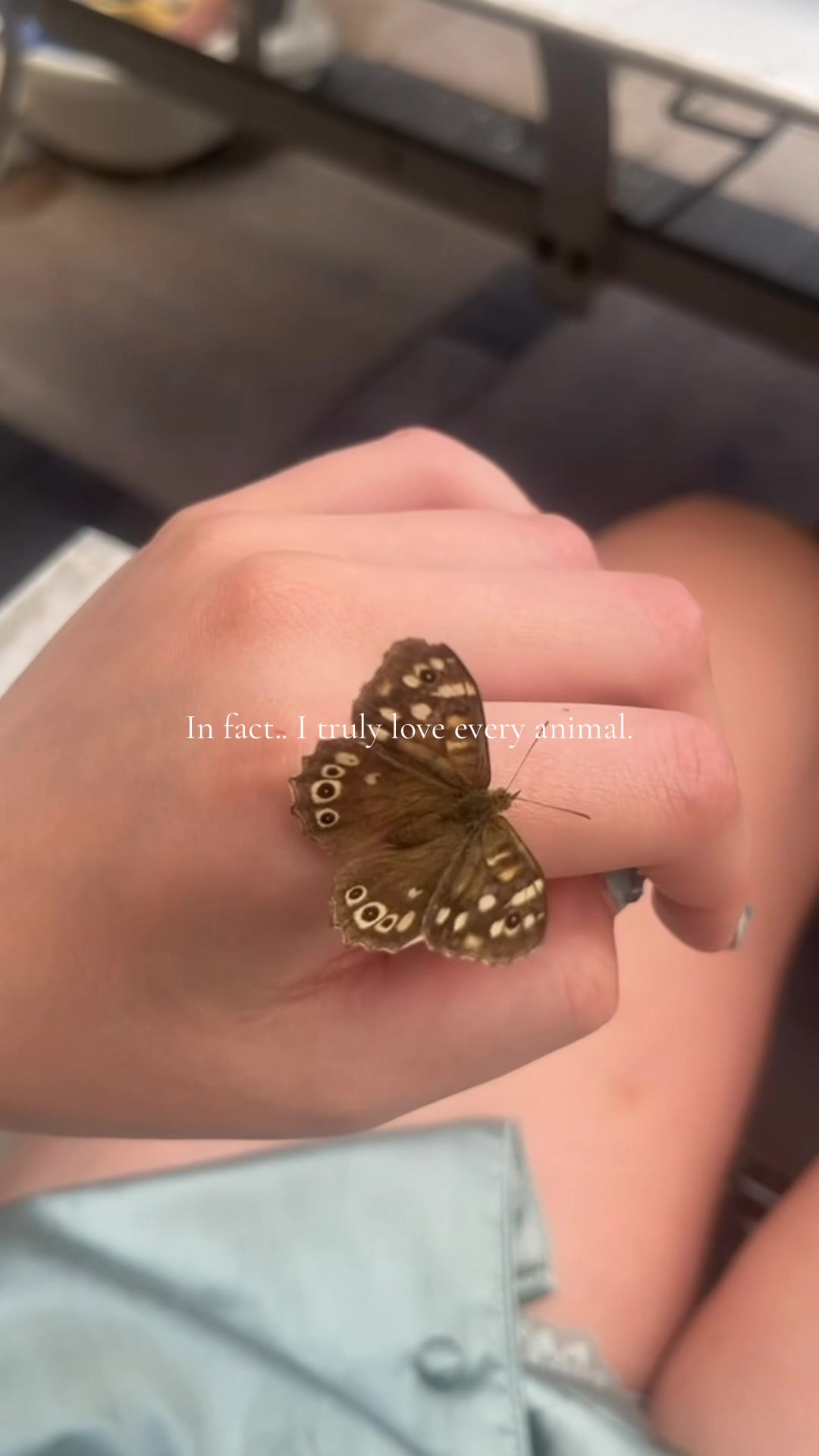 @L. M. K.
