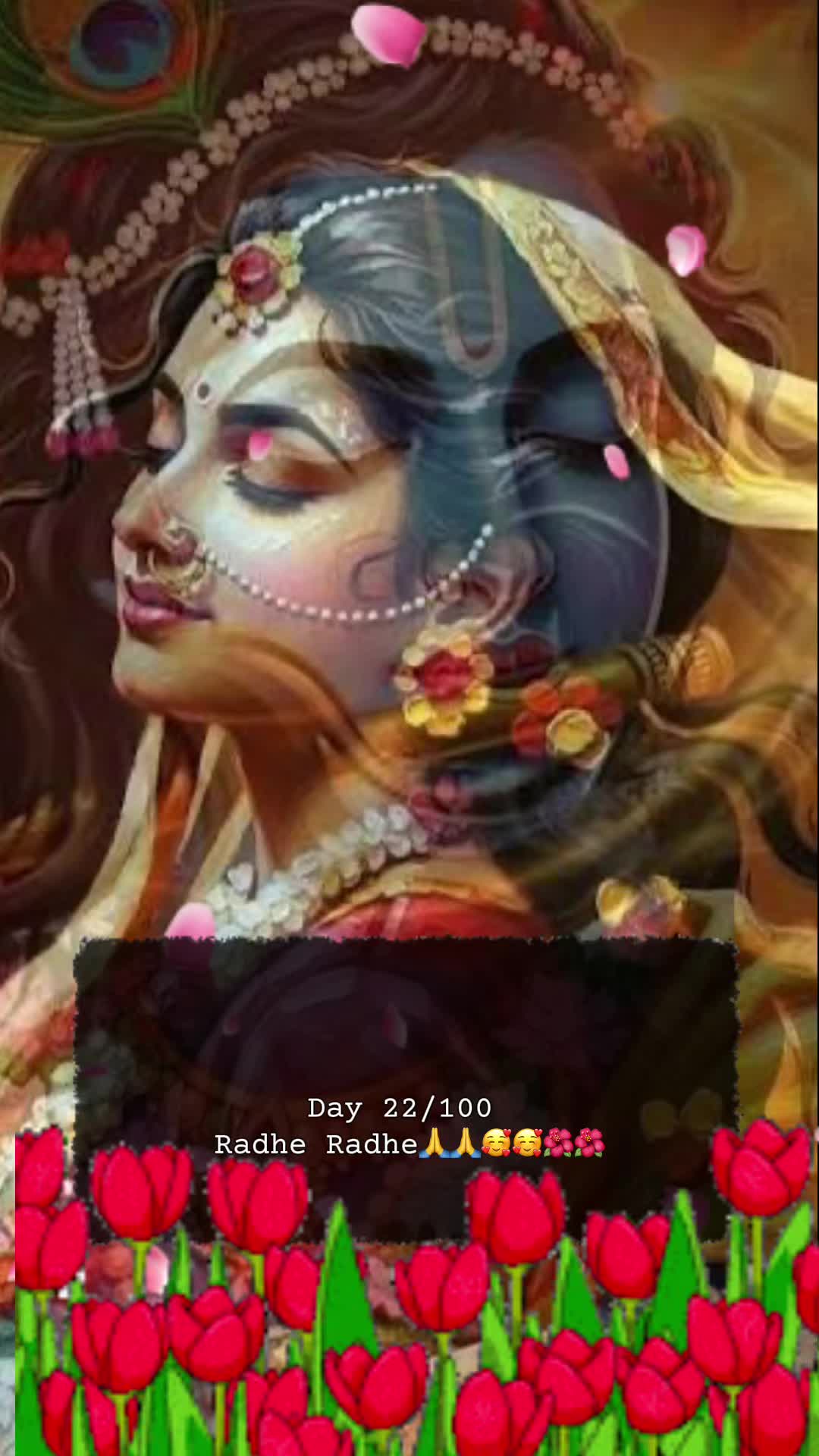 @RadheKrishna🦚🦚🙏🙏