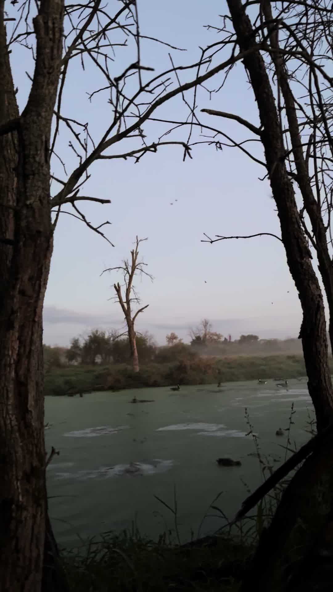 @wisco_outdoorsman