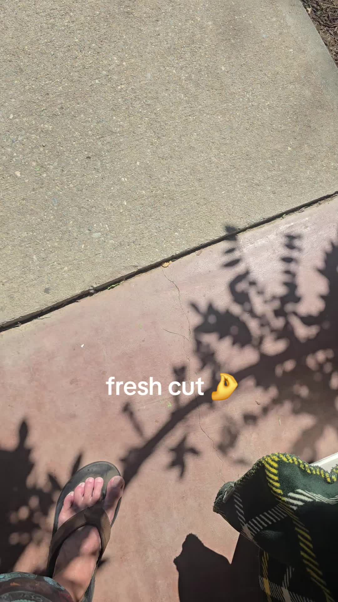 @grumpykore