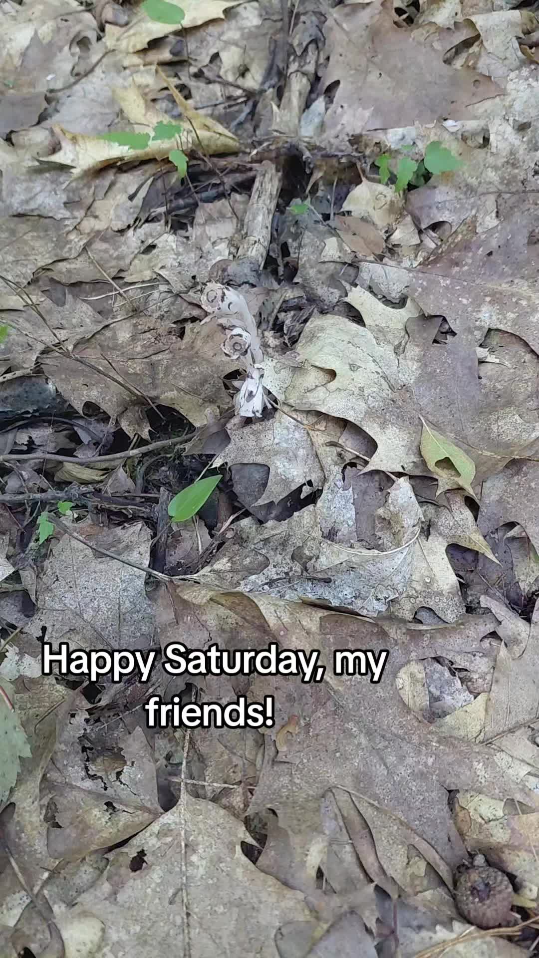 @LostYooperNerd