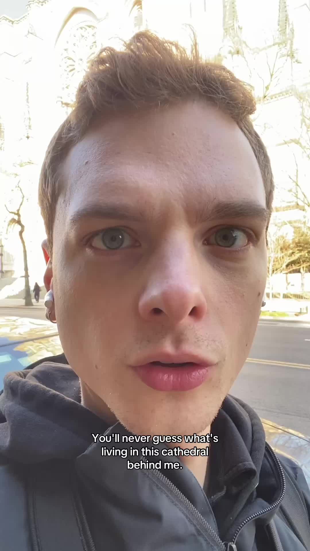 @tautonymph