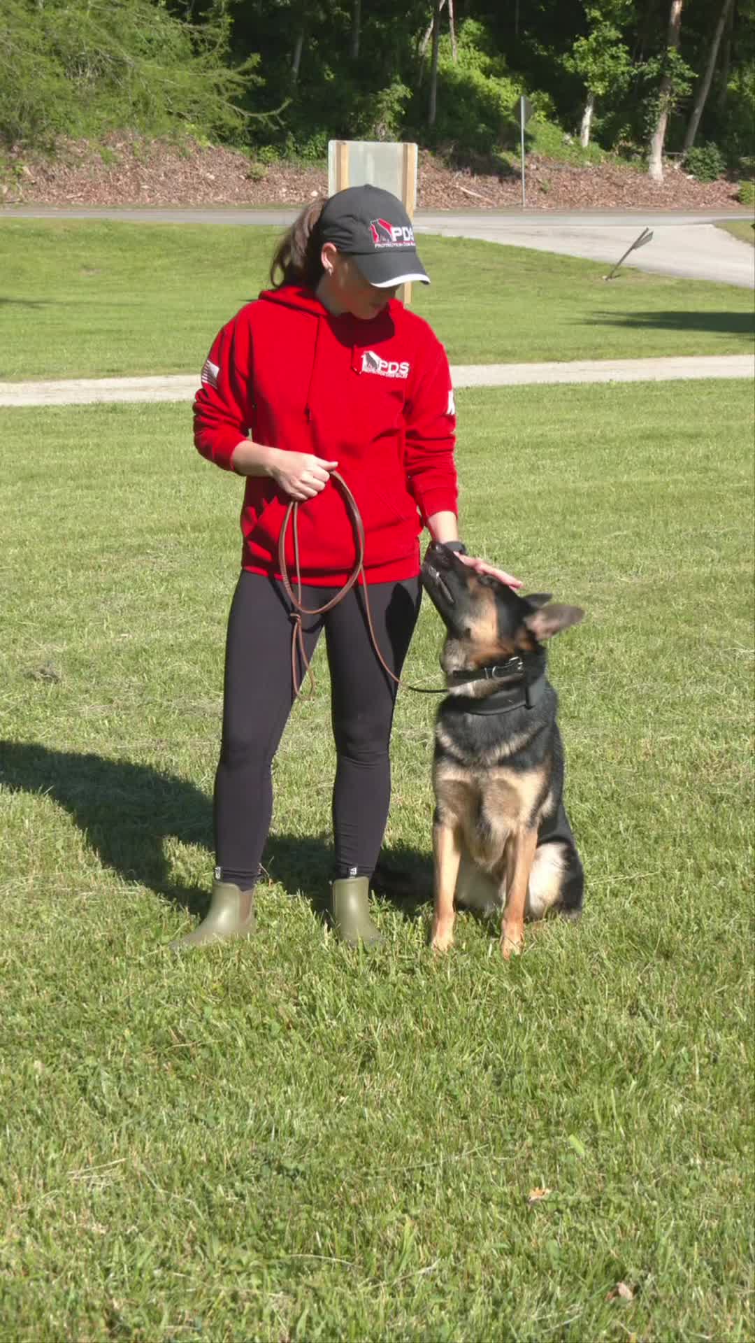 @Protection Dog Sales