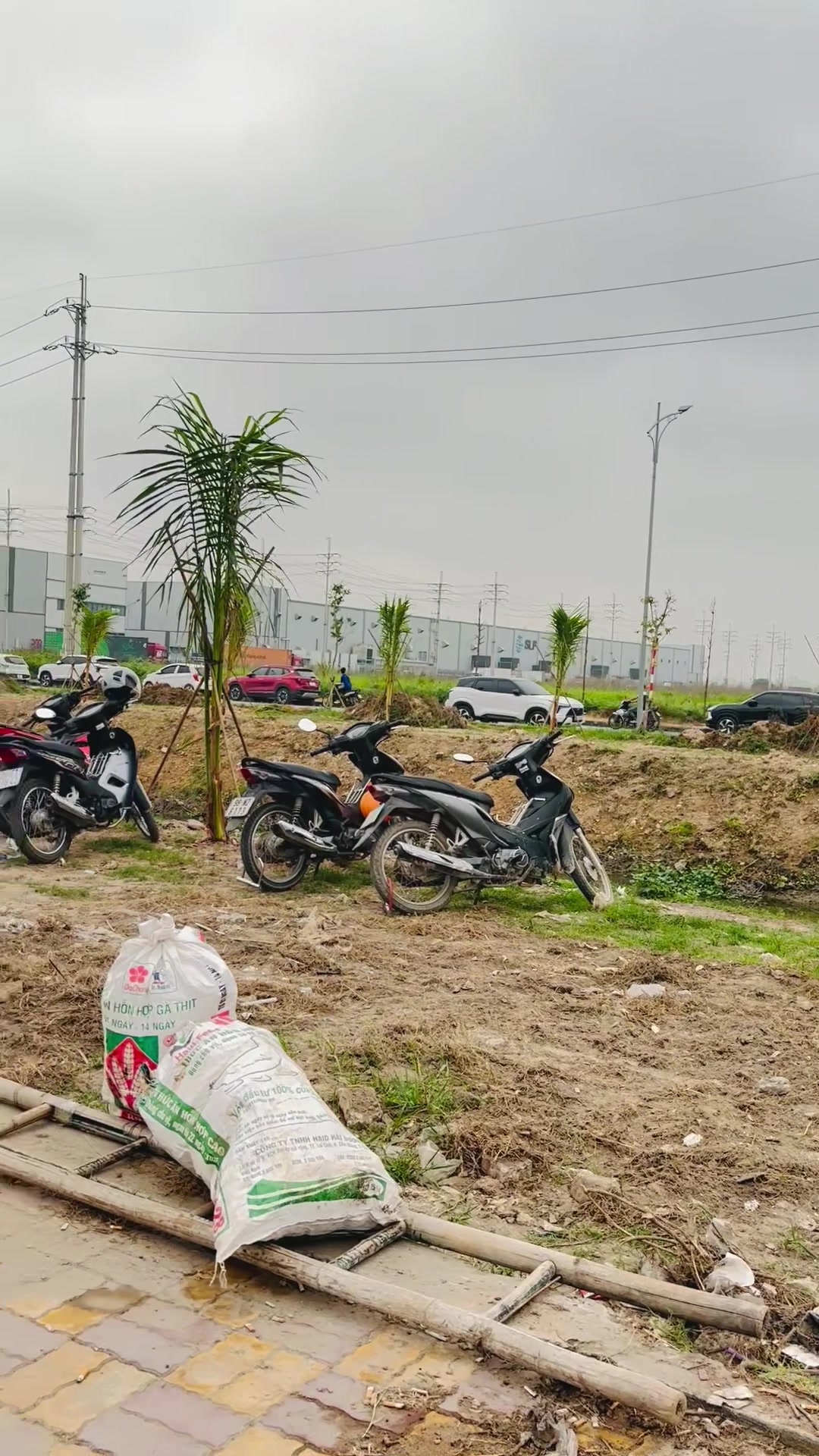 @BEO LẠNGSƠN