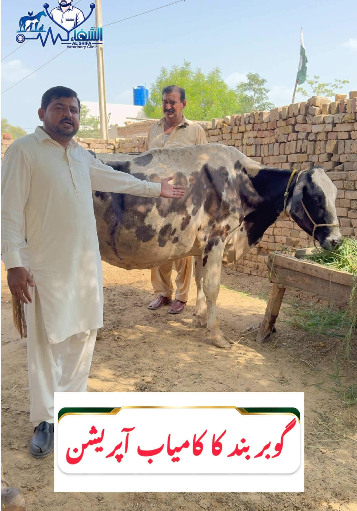 @Dr.Mohsin