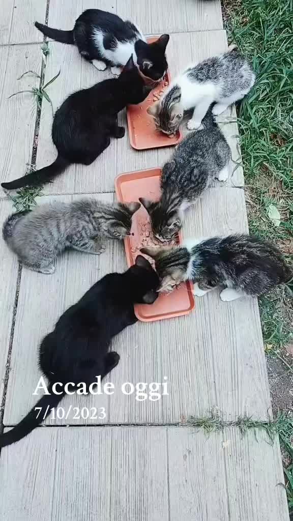 @Erica Gazzoldi