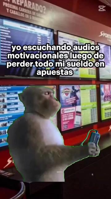 @viajero