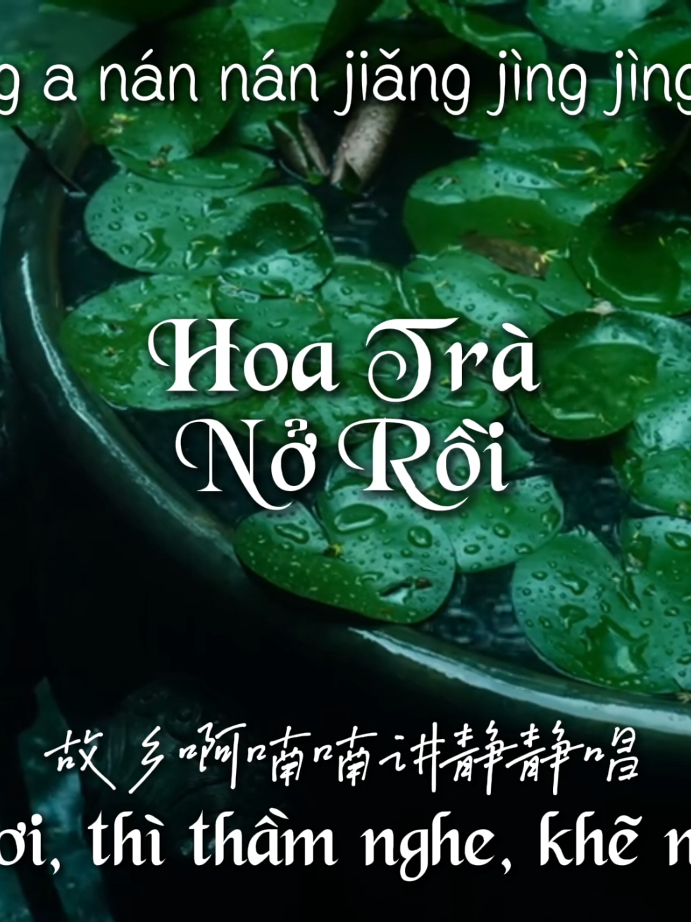 @Cố Mộng Quán 故梦馆