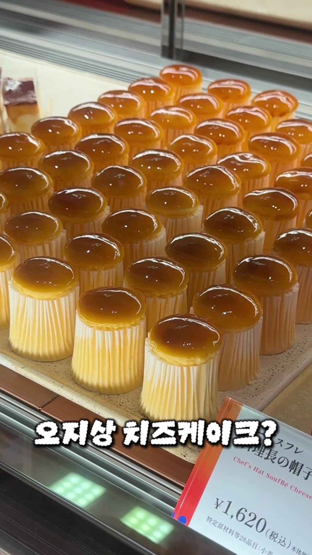 @예콩 yecong