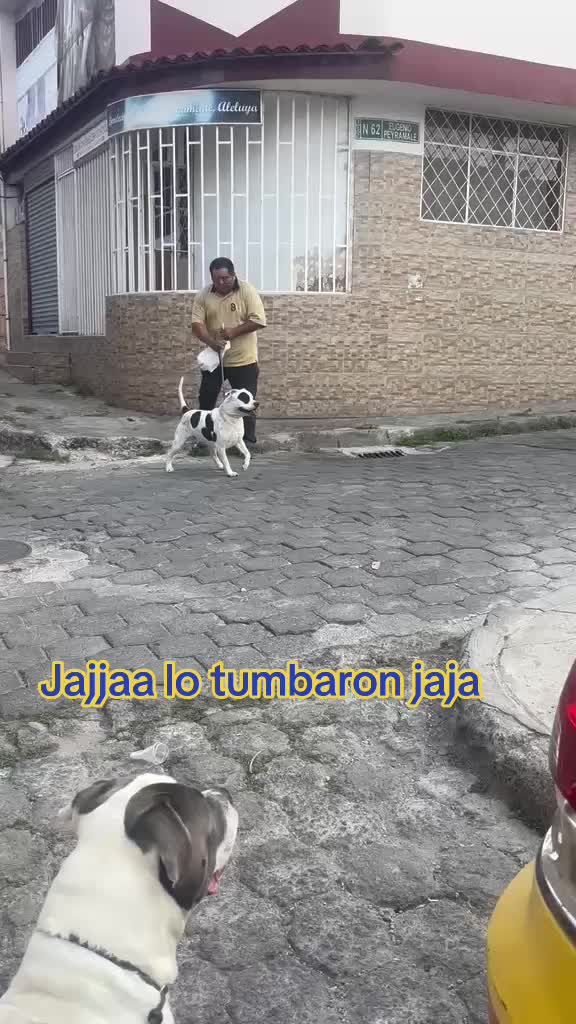 @Ecuavoley Fadhelec