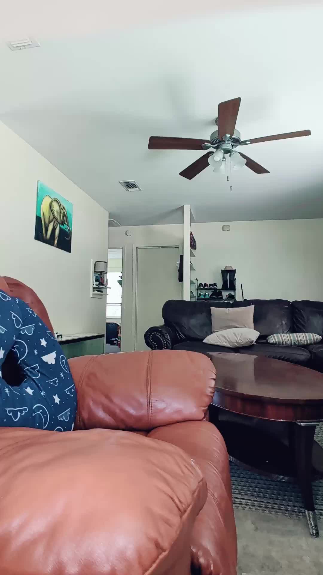 @aaracelis