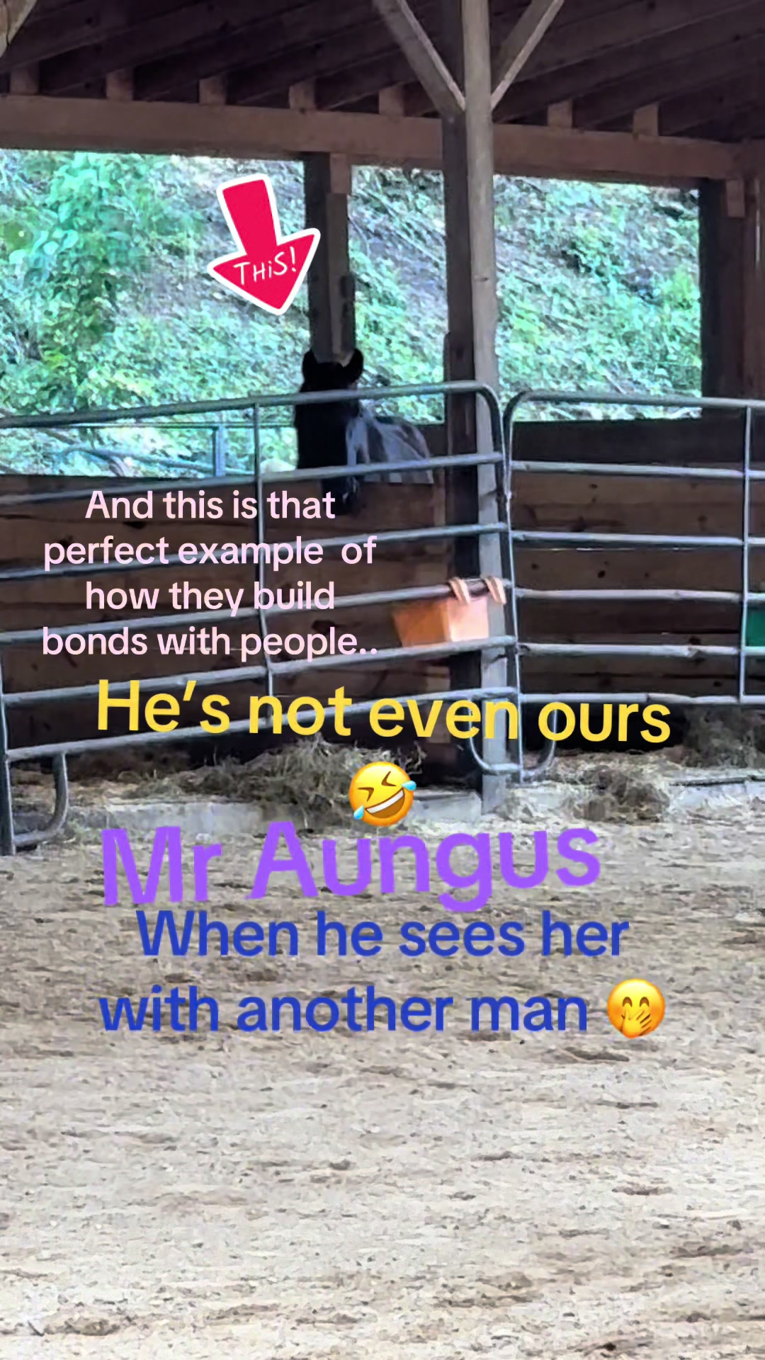 @truckerwifetruckermomma2❌️