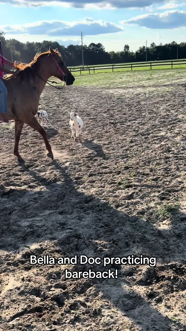 @Finding Harmony Farms