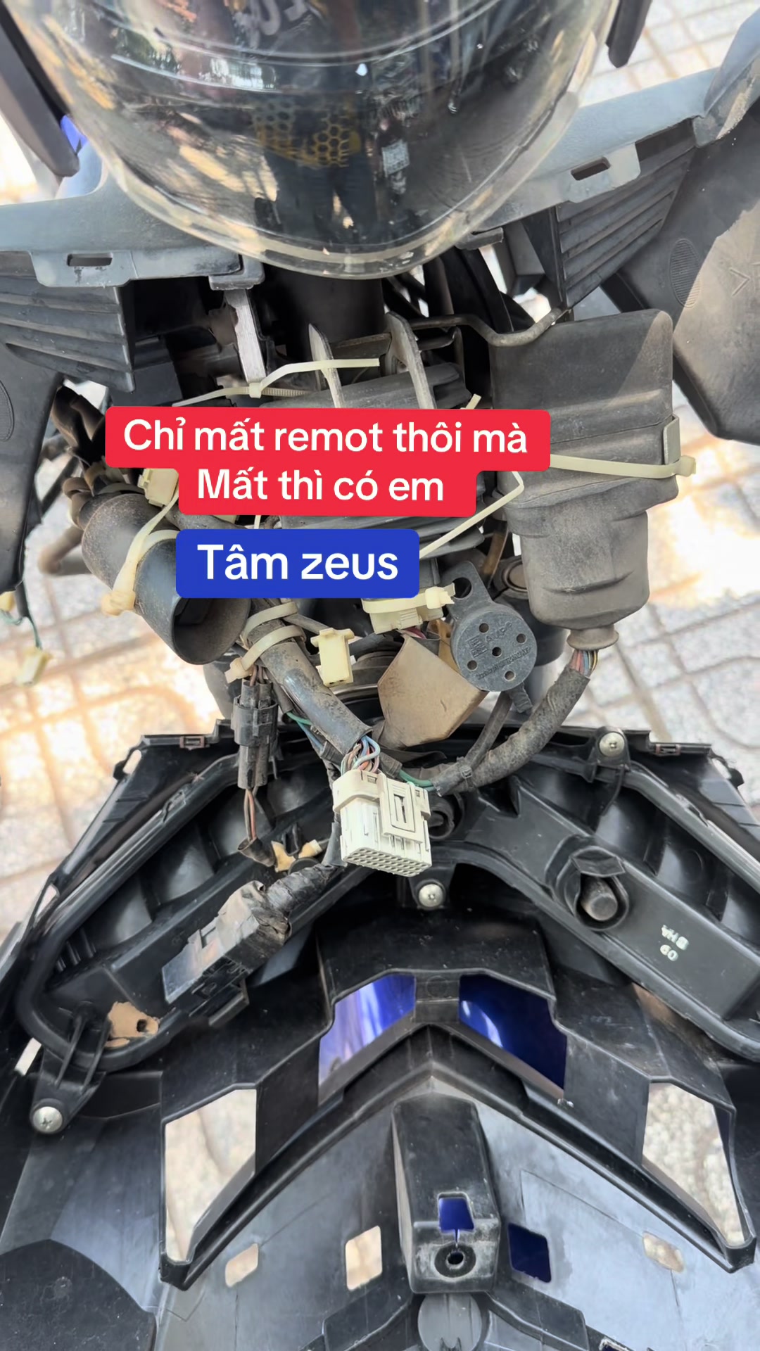 @Tâm Zeus