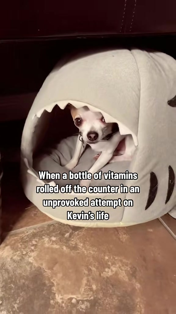 @TheThreeChimigos