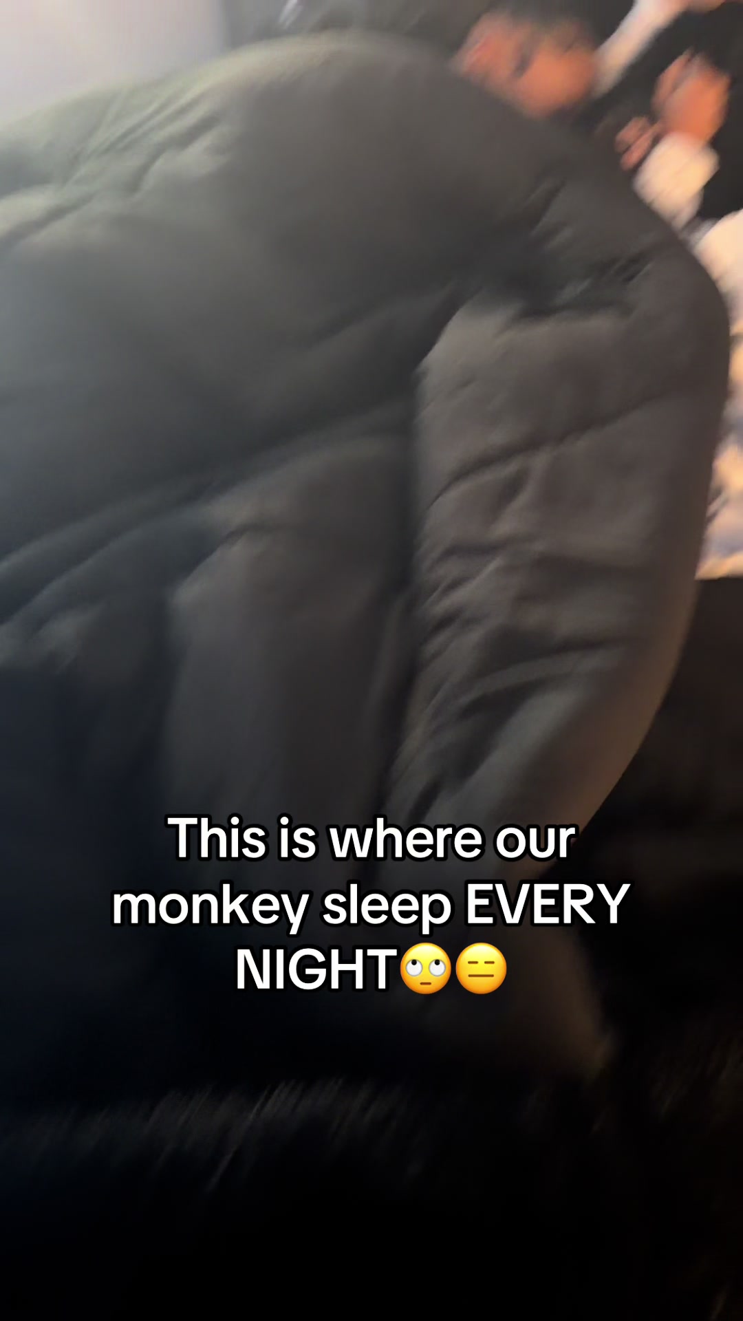 @OJTV & Mojo Jojo🧡