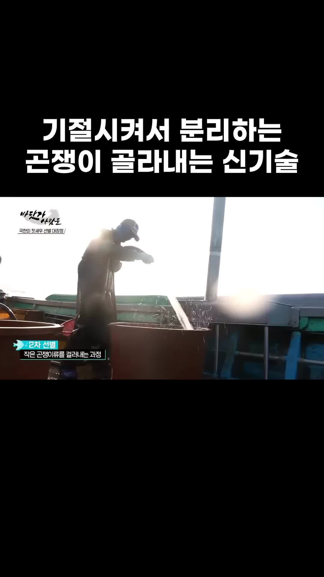 @EBS 다큐