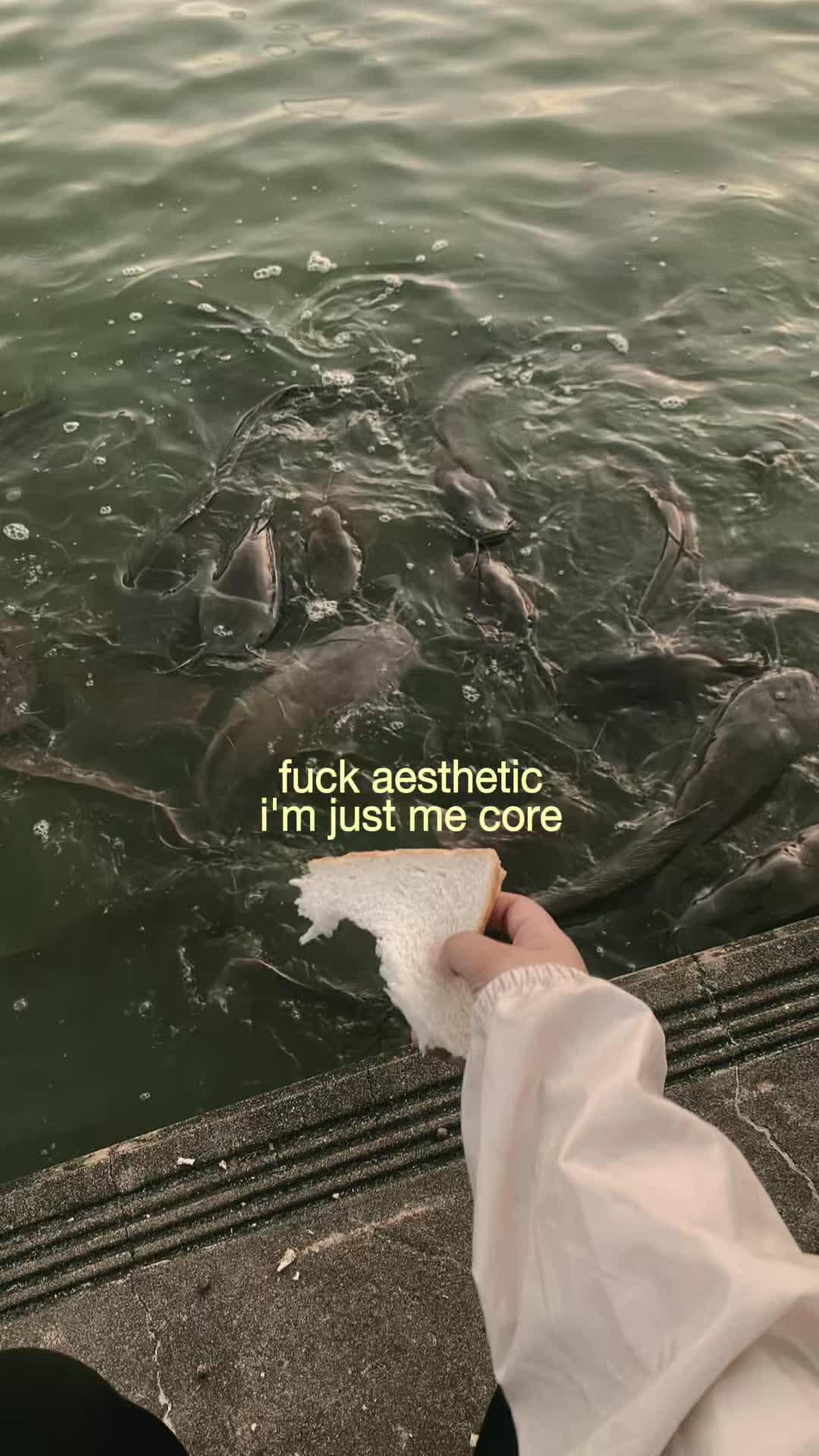 @🧚🏻♀️