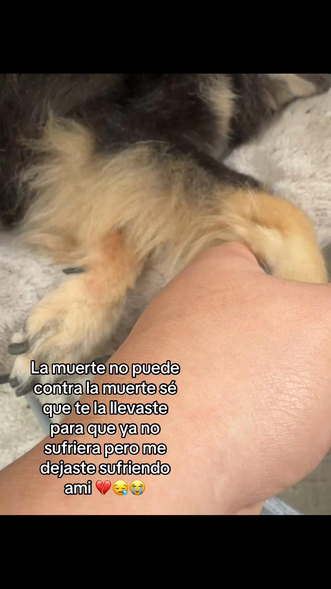 @priscy garibay