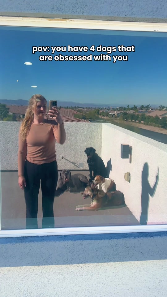@Taylor + 4 dogs