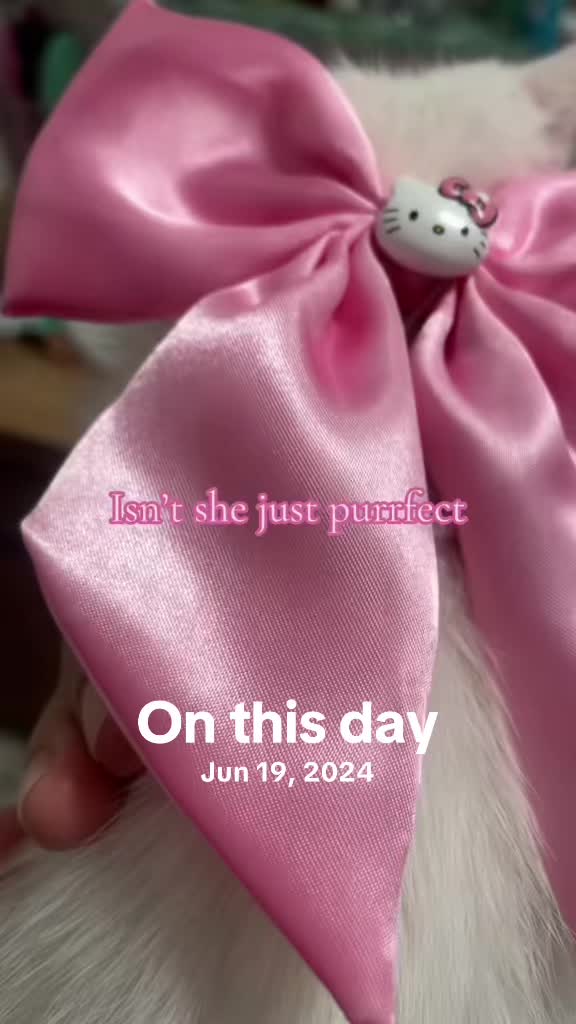 @Jennifer 🦢🩷✨