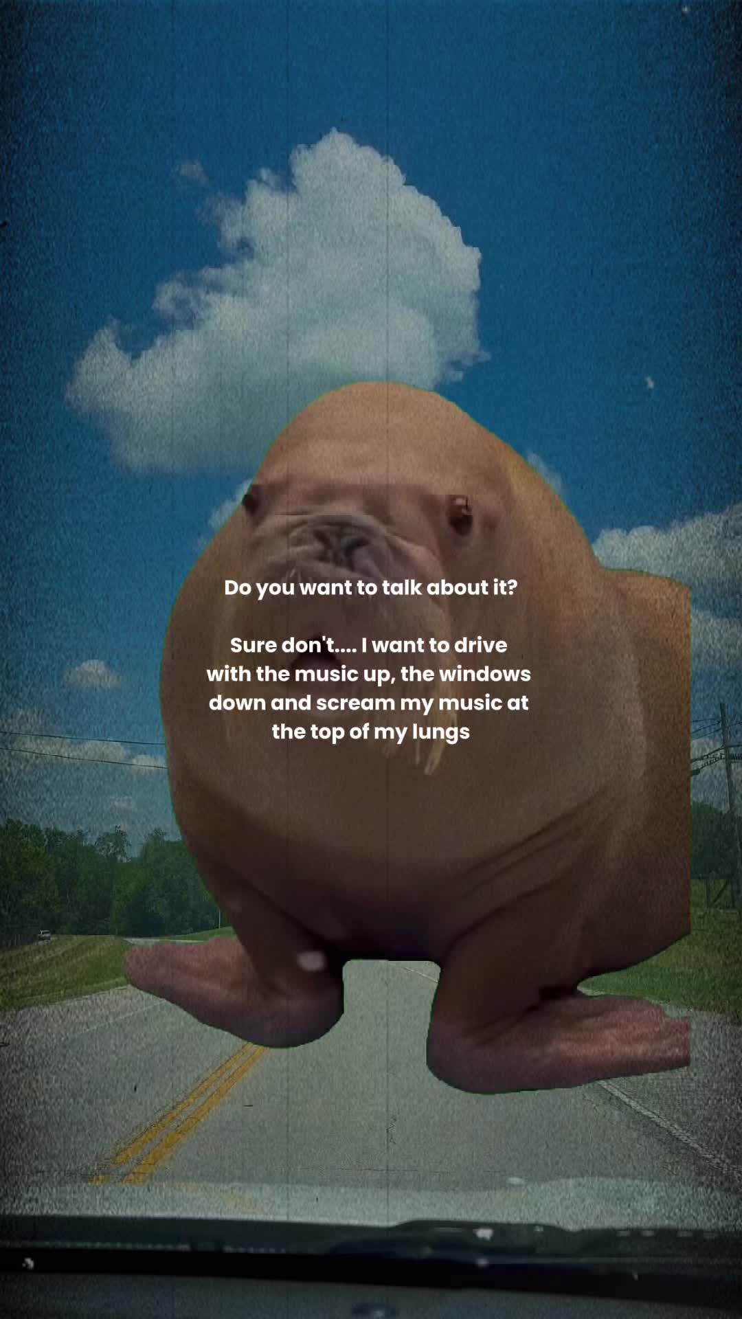 @Local Weirdo