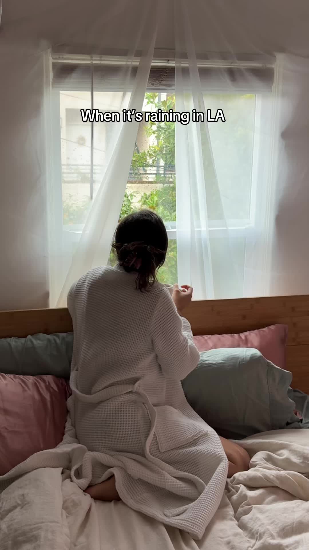 @nicoshea_