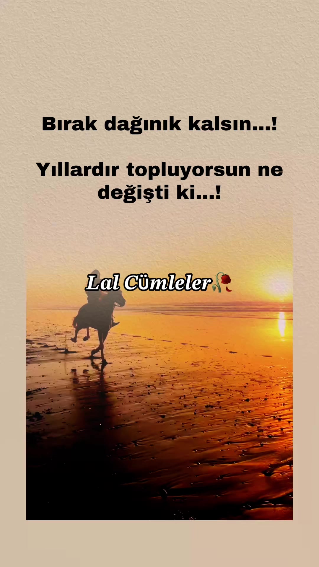 @𝑳𝒂𝒍 𝑪ü𝒎𝒍𝒆𝒍𝒆𝒓✍️