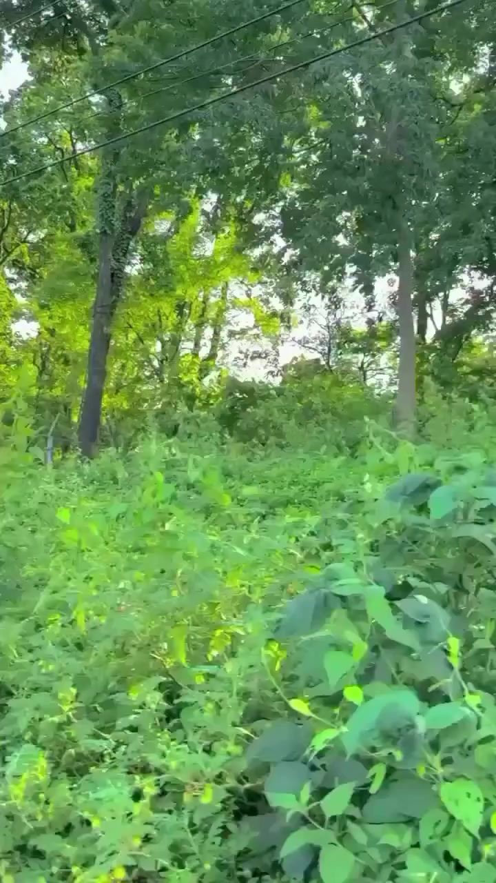 @Hema Kashyap