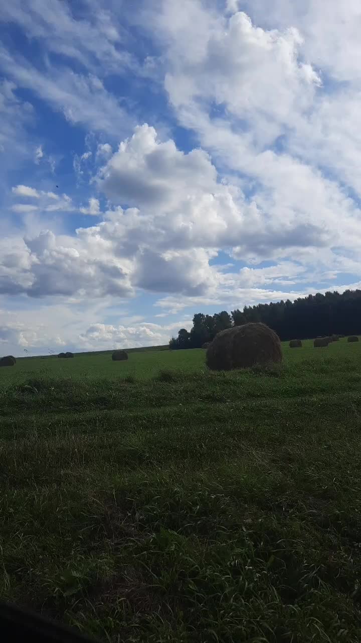 @Ляля