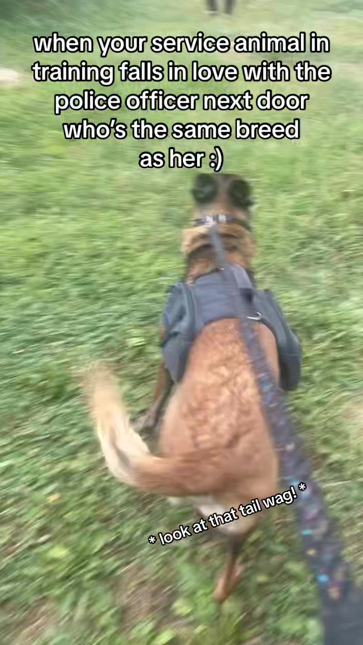 @ℌ𝔢𝔩𝔩𝔞 ℭ𝔞𝔫𝔦𝔫𝔢𝔰