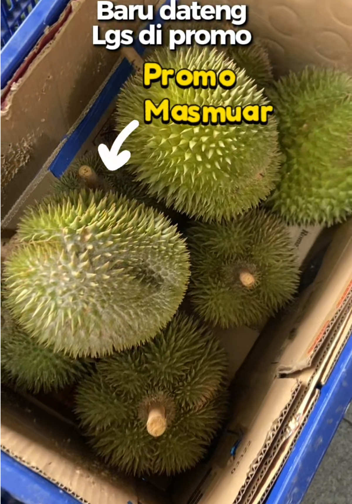 @Cicip Durian
