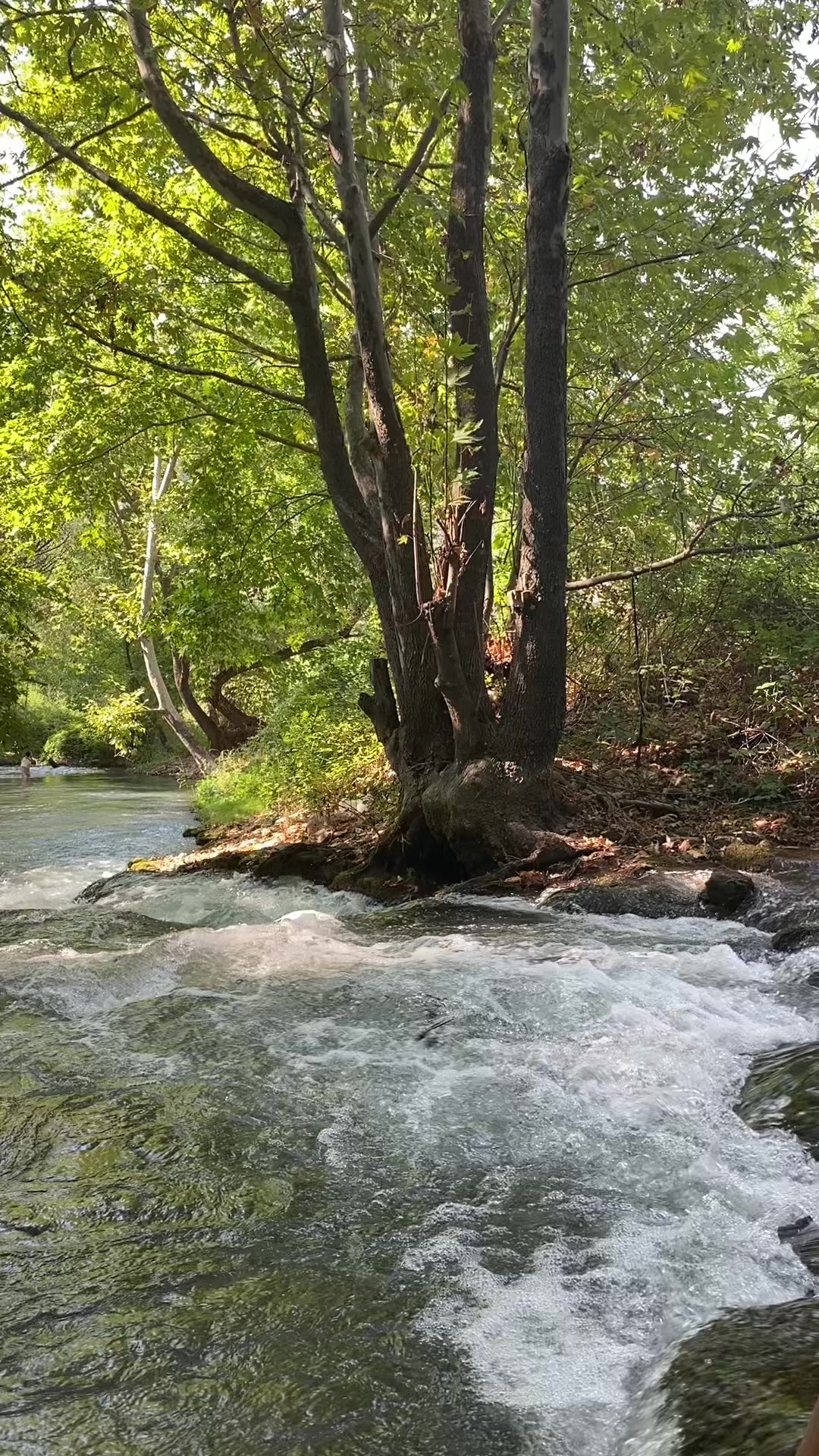 @Ömer Sayın🇹🇷