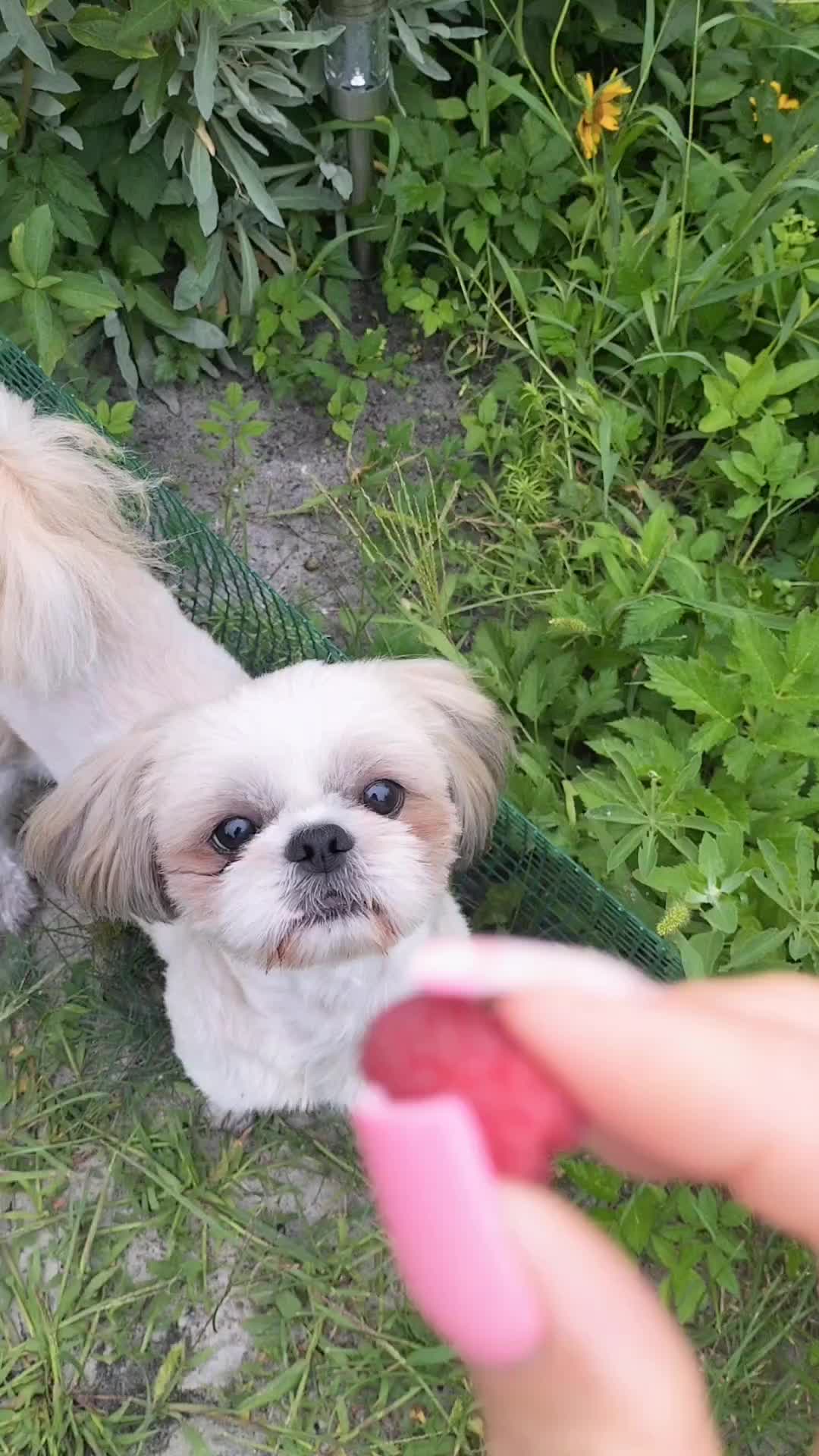 @Mirabelka 🍀