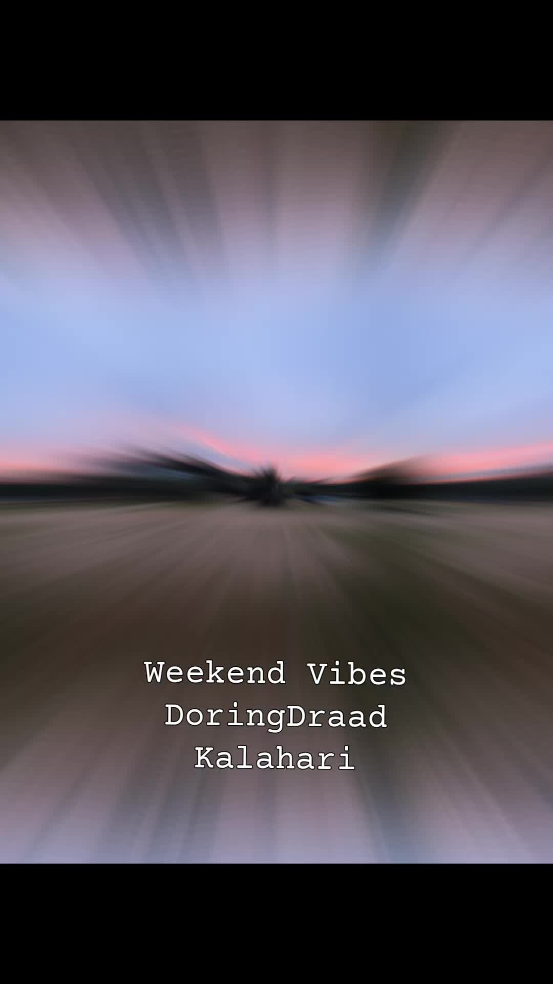 @🇿🇦DoringDraad Kalahari🇿🇦