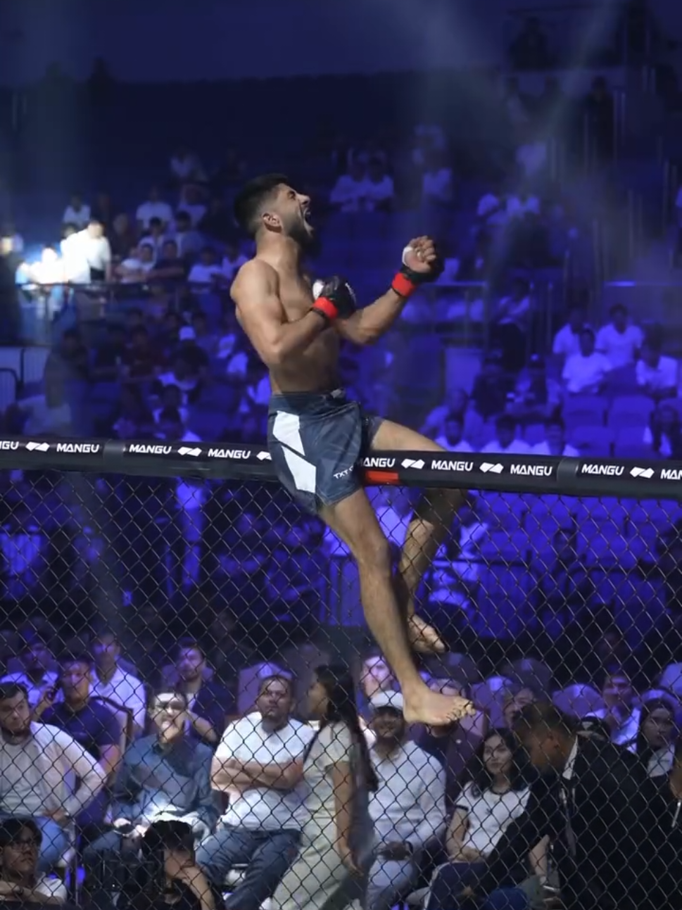 @🇺🇸MMA/AZE🇦🇿🇪🇺