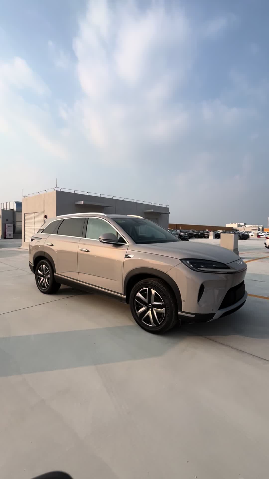 @China EV Export Cars Supplier