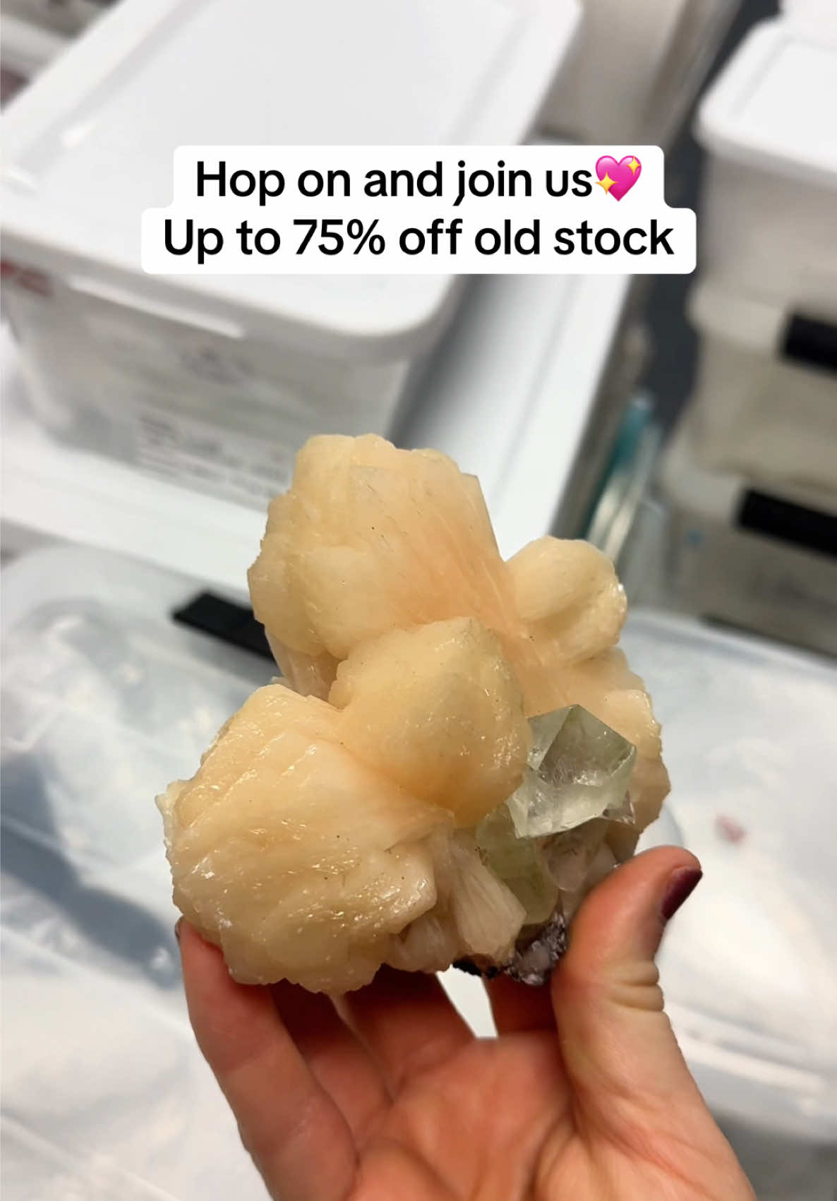 @Crystal Live Emporium✨Natalie