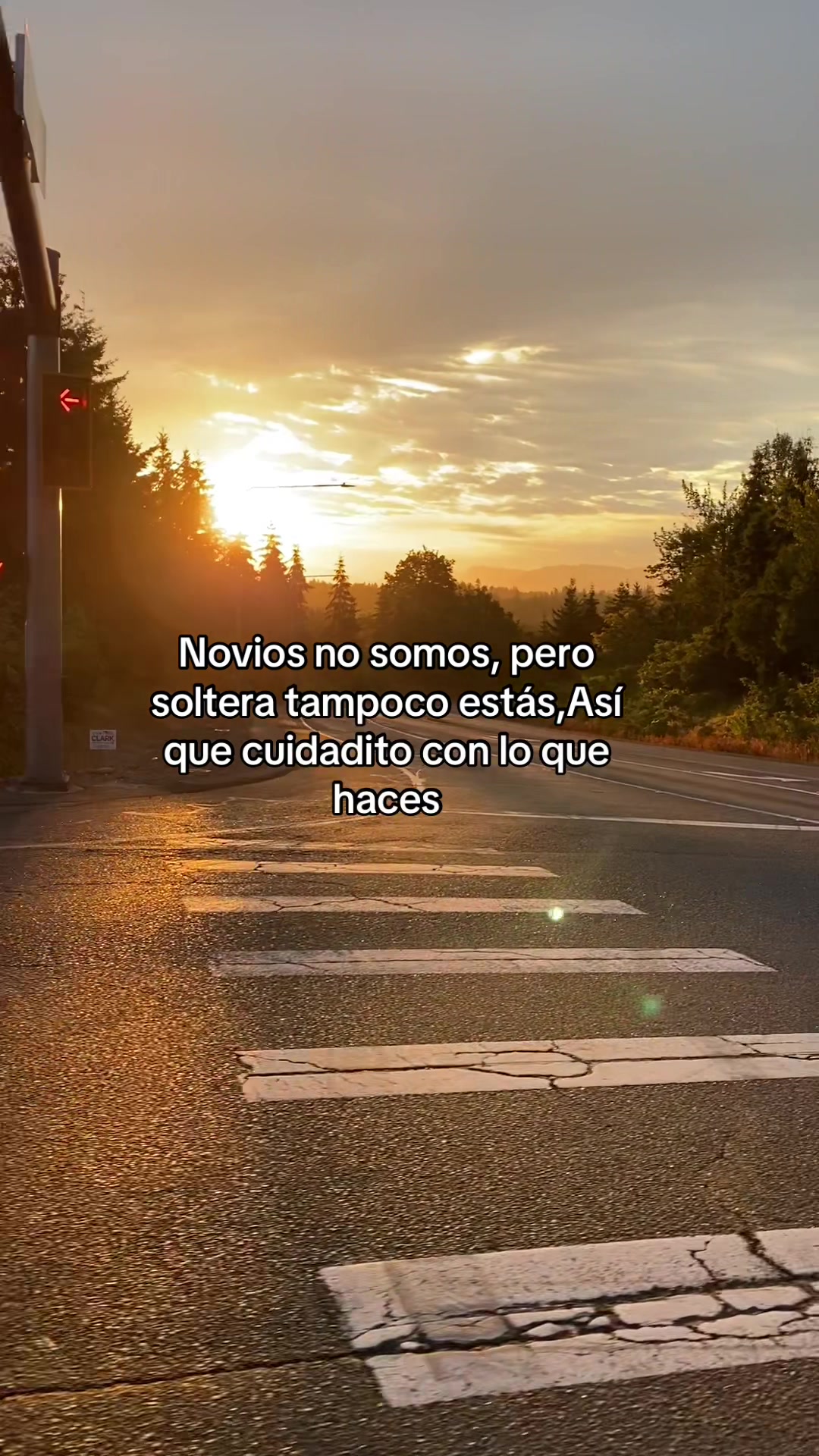 @luisgonzalez1502