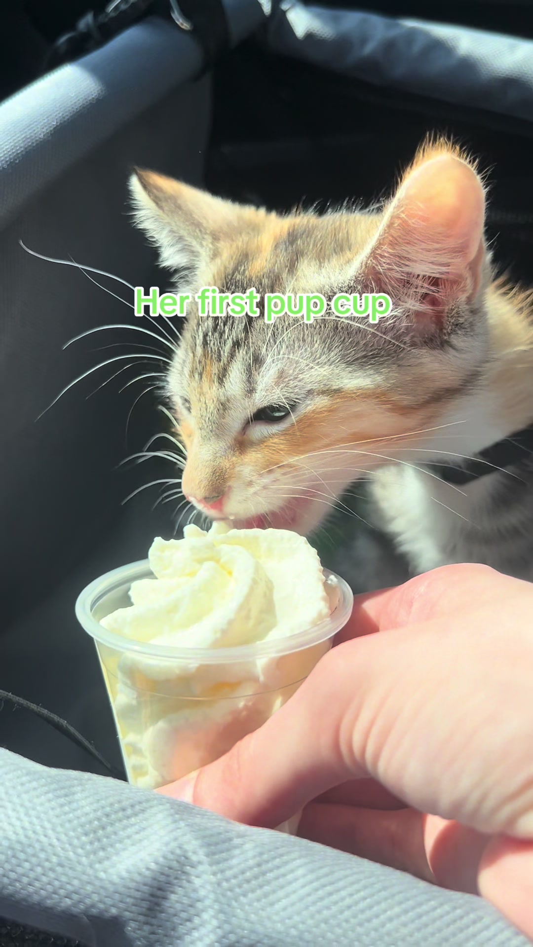@Houseofpets