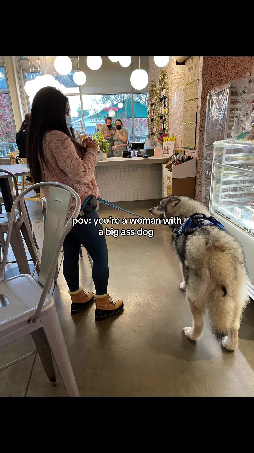 @wolfieworkingdogs