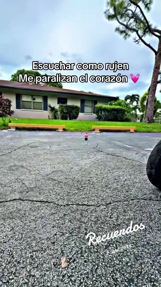 @Kevin Biker