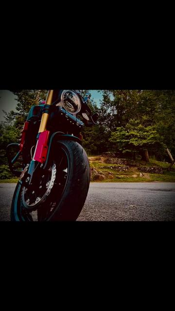 @grandjesterdesigns